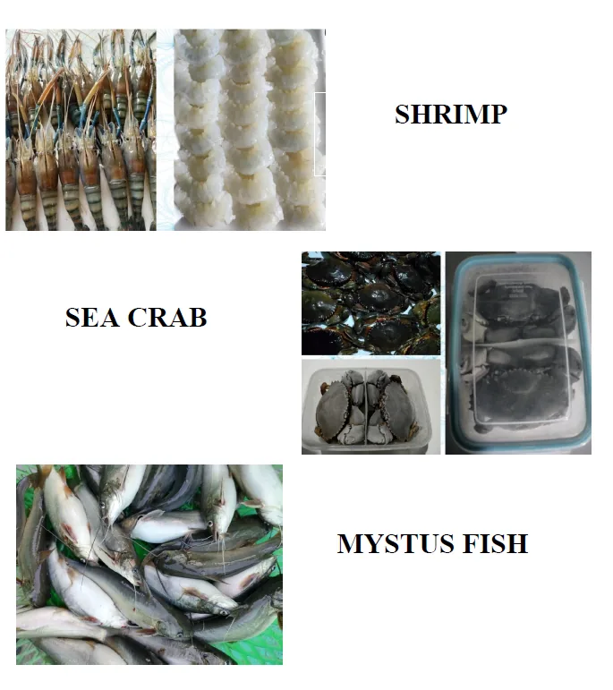 Продукты питания, напитки и FMCG
